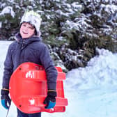 Best sleds, sledges, and tobaggans