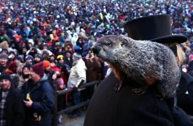 The Groundhog Day celebrations originated in a small town called Punxsutawney in Pennsylvania (Getty Images)