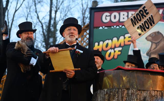 Groundhog Day has been immortalised on screen in the Bill Murray classic comedy - but what is the real life Groundhog Day tradition? (Credit: 
