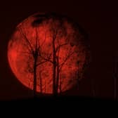 A red full moon. Image: kmls - stock.adobe.com