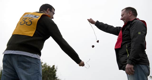 A competitor's conker detaches from its lace as he takes part in a later round of the annual World Conker Championships, in Southwick, central England