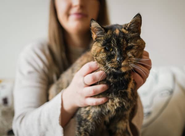 <p>Flossie, pictured here with new owner Vicki, has been named the world’s oldest cat by the Guiness Book of World Records.</p>