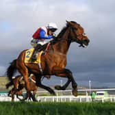 Cheltenham Festival 2022 starts on Tuesday, March 12 - Credit: Getty Images