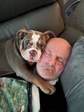 Ain’t nothing but a hound, Doc: David Lindsay with his British Bulldog puppy, Harley. 