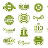 Eco-friendly labels (photo: adobe)