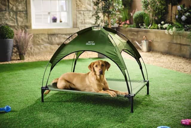 Aldi has launched a new affordable pet range to help keep pets warm during the warmer months