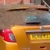  A three-day-old car was swarmed by thousands of bees, leaving its owner stunned. (SWNS)