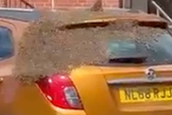  A three-day-old car was swarmed by thousands of bees, leaving its owner stunned. (SWNS)