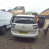 CCTV capturing the moment two dogs enter a family home in Chelmsley Wood, Birmingham, and savage two cats to death.