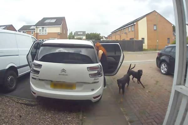 CCTV capturing the moment two dogs enter a family home in Chelmsley Wood, Birmingham, and savage two cats to death.