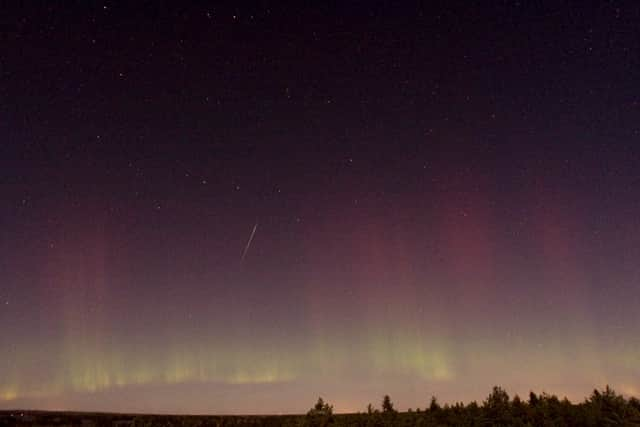 A Draconid meteor near Skekarsbo at the Farnebofjardens national park 150 kilometers north of Stockholm in 2011 (Photo: P-M HEDEN/AFP via Getty Images)