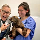 Sussex spaniel Elton, who has recovered from paralysis, with veterinary physiotherapist Holly Finelli and master dog trainer Graeme Hall