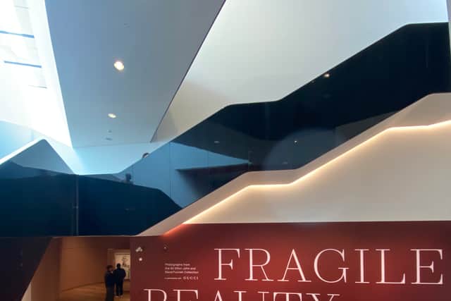 ‘Fragile Beauty: Visions from the Sir Elton John and David Furnish Collection’ at the Victoria and Albert Museum. (Photo: Isabella Boneham)