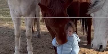 Sixteen-month-old has a heart-warming interaction with horses.