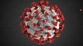 FLuQE is a new Covid variant that has been driving new cases. (Photo: Pexels, CDC)