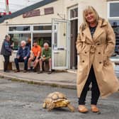 Jackie Leek takes her giant pet tortoise called Mr Miyagi on regular walks to the pub.