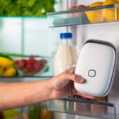 The Shelfy claims to be able to make food last up to 12 days longer