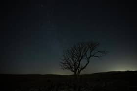 A lone tree stands above a limestone pavement at night in the Yorkshire Dales National Park near Malham.