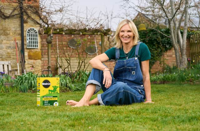 Grass, trees, soil, flowers and water –  makes those polled feel calmer and ‘at peace’