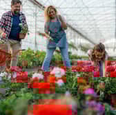  82 per cent believe intergenerational collaboration is key to growth