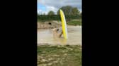 Polar bears go wild and take to the water...in a kayak