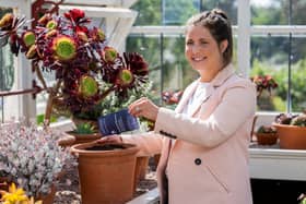 Lindsey Burrow, wife of late rugby legend Rob Burrow, plants wildflowers in his memory to mark Celebration Day (May 26) 