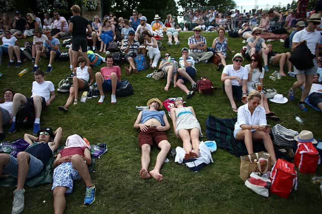 Murry Mound at Wimbledon