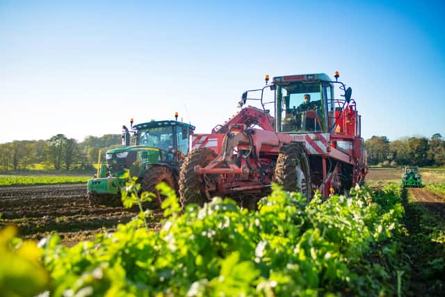 Mash Direct’s family farm in Comber, where the business continues to grow and invest in its manufacturing operations.