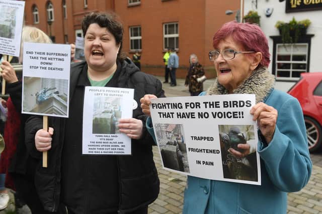 Protest against the bird netting at Louth Town Hall.