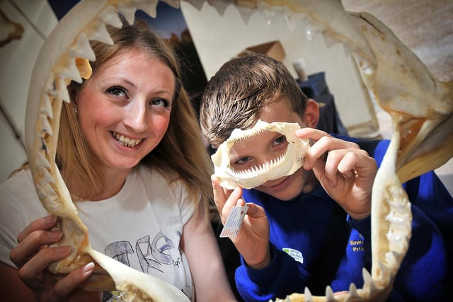 Yorkshire Fossil Festival will be returning to the Rotunda Museum on September 16 - 18!