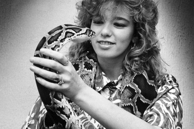 This is Monty, a 12ft python with this owner Alison Whitaker from Armley. She was looking for a new home for him in March 1989 as she was moving house.