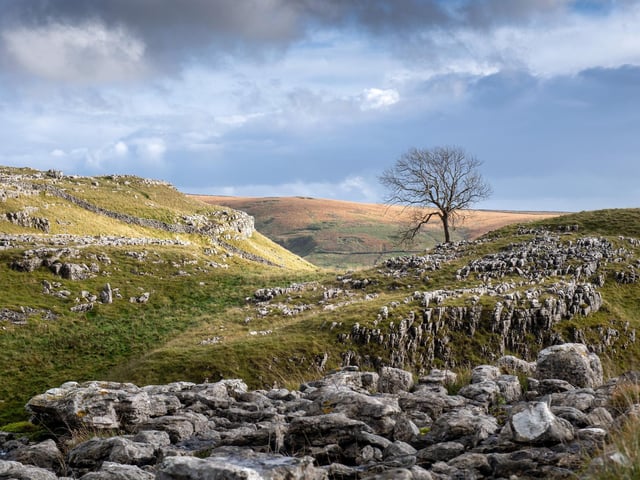 Malham Tarn is the highest lake anywhere in England, which is quite something in itself, but that’s not the only reason to pay a visit to Malham Tarn. It’s also an amazing place to witness the beauty of Yorkshire – head to the top of the hill for sensational vistas of the water. It flows underground to the equally impressive Malham Cove where it becomes a source for the River Aire