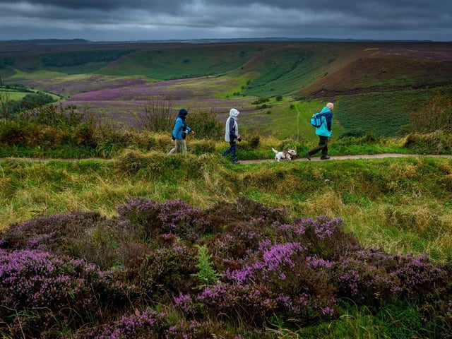 The Hole of Horcum, one of the most spectacular features in the North Yorkshire Moors National Park, is a huge natural amphitheatre 400 feet deep and more than half a mile across