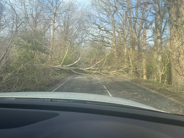 Harbolets Road on the B2133. Photo: Benediktas Bruneckas