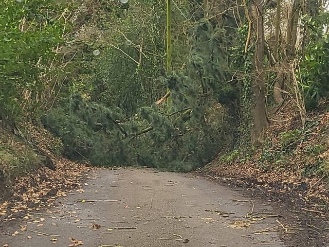 Polecat Lane, Southwater. Photo: Emily Ede