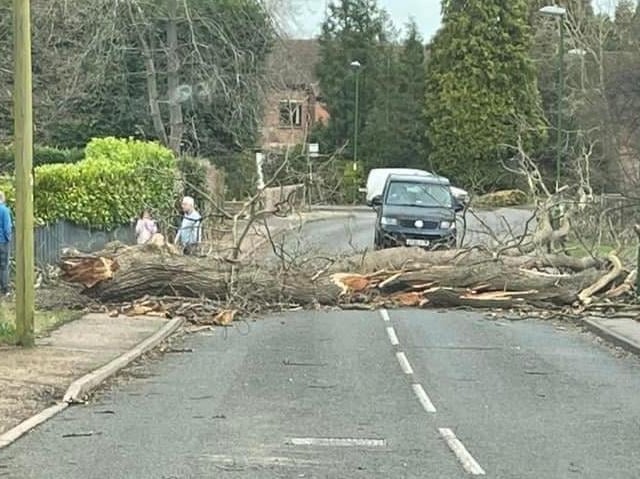 Pondtail Road, Horsham. Photo: Tracy Morrison