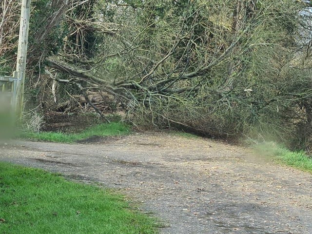 Gandersgate Lane, Kirdford. Photo: Michael Godsmark