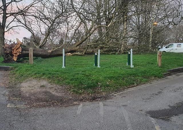 Bennett's Field, Horsham. Photo: Sue Songhurst