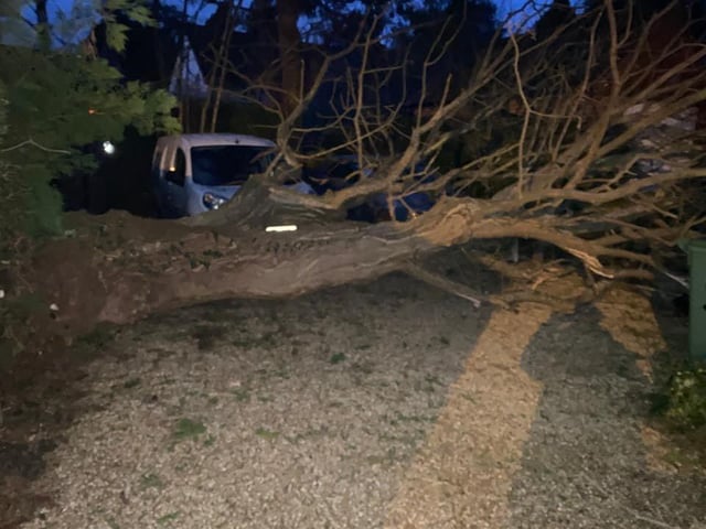 Forest Road, Horsham. Photo: Pennie Roscoe