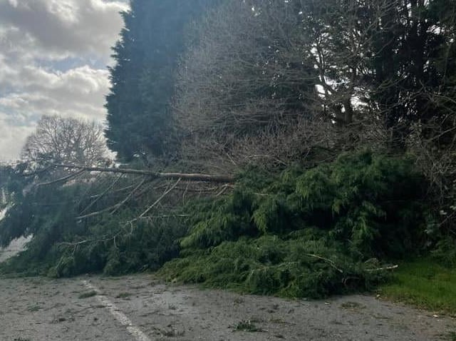 Between Plaistow and Kirdford. Photo: Emma O'Dwyer