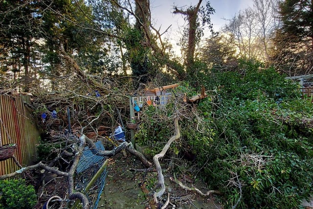 Damage in Hilary Peck's garden in Pevensey Road, Southwater.