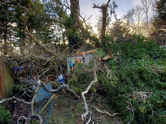 Damage in Hilary Peck's garden in Pevensey Road, Southwater.