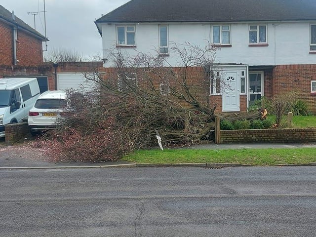 Redford Avenue, Horsham. Photo: Alayna Hoare