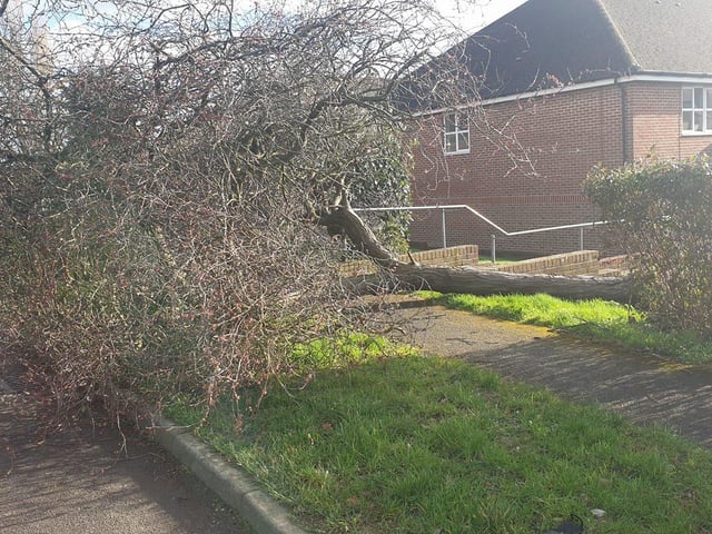 Arun Road, Billingshurst. Photo: Amanda Waldron