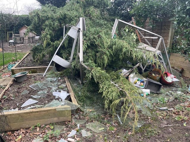 Oak Lane, Broadbridge Heath. 'We lost the greenhoiuse and the shed roof was crushed,' said Fiona SG.