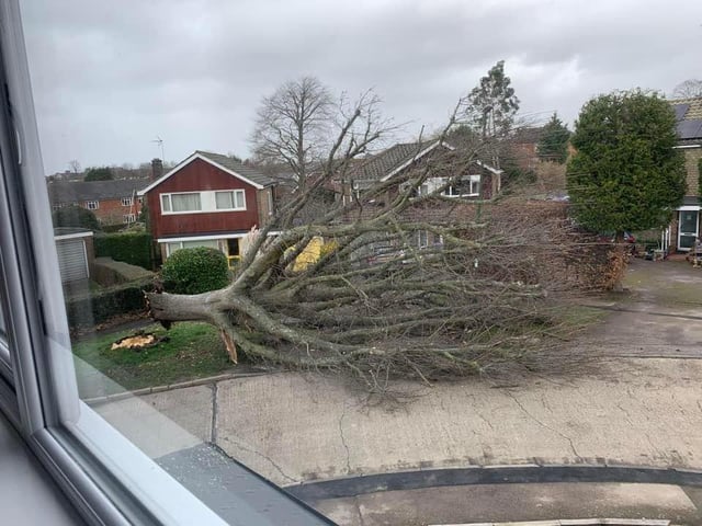 Weald Close, Horsham. Photo: Patricia Guirao Mitchell