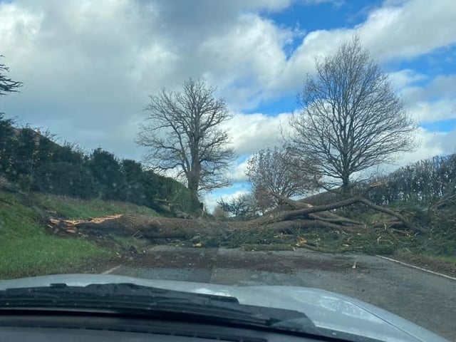 This was the scene in Okewood Hill, Dorking. Photo: Victoria Tyers