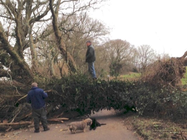Southlands Lane, West Chiltington. Photo: Terence Allen