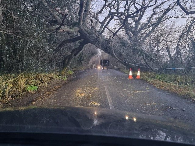 This was taken in Pulborough. Photo: Sharon Emma Goldring