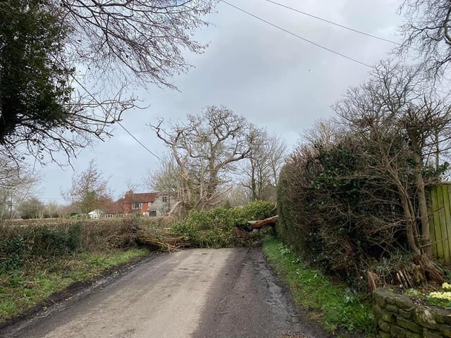 Langton Laane, Hurstpierpoint. Photo: Lucy Beach